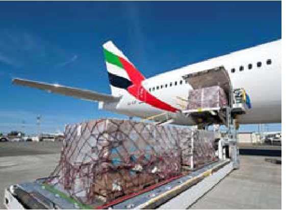 Air cargo being loaded into a freighter aircraft